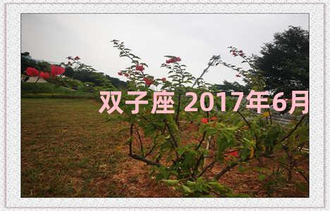 双子座 2017年6月